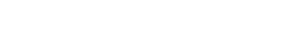 SpatialPort logo